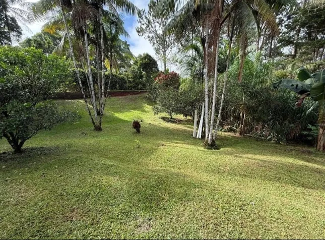 SE VENDE BELLA PROPIEDAD Y CASA EN AGUA BUENA, COTO BRUS. en Aguabuena, Coto Brus, Puntarenas — ₡ 54 900 000 - Foto 3 de 7