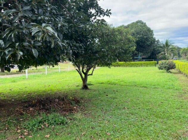 VENTA DE LOTE, ALAJUELA, OROTINA CENTRO - 9984707 in Orotina, Alajuela — ₡ 55 000 000