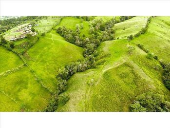 Farm For Sale San Vito, Coto Brus, Puntarenas