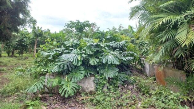 Venta de Lote en Goicoechea, San José.  en Mata de Plátano, Goicoechea, San José — $1,643,440