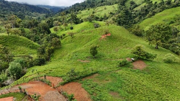 Finca de 56 hectares en San Marcos de Baru, Perez Zeledon. en Barú, Pérez Zeledón, San José — $699,999
