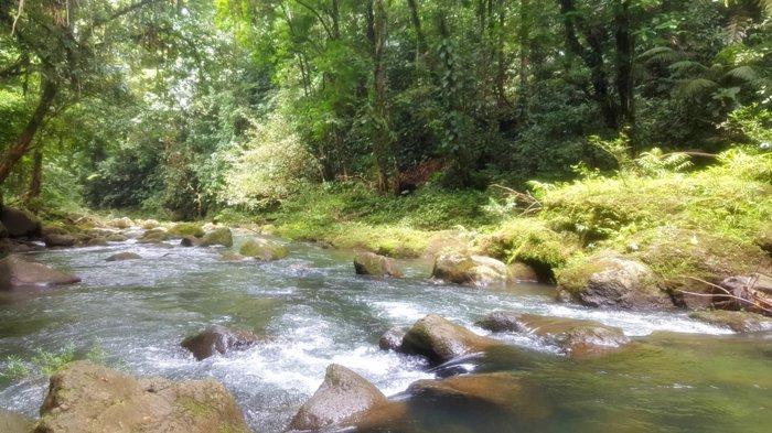 Finca en Venta en Sarapiquí – 10 Hectáreas con Acceso a Calle Pública in La Virgen, Sarapiquí, Heredia — $290,000