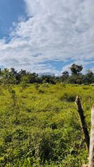 🏡 Propiedad en venta en Guápiles in Guápiles, Pococí, Limón — 418 000 000 ₡ - Photo 4 of 11