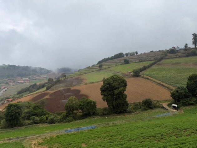 Finca en Venta en Zarcero Alajuela en Zarcero, Alajuela — ₡ 380 000 000