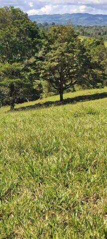 SE VENDE FINCA EN SANTA ELENA DE PITTIER, COTO BRUS.  in Pittier, Coto Brus, Puntarenas — ₡ 192 000 000