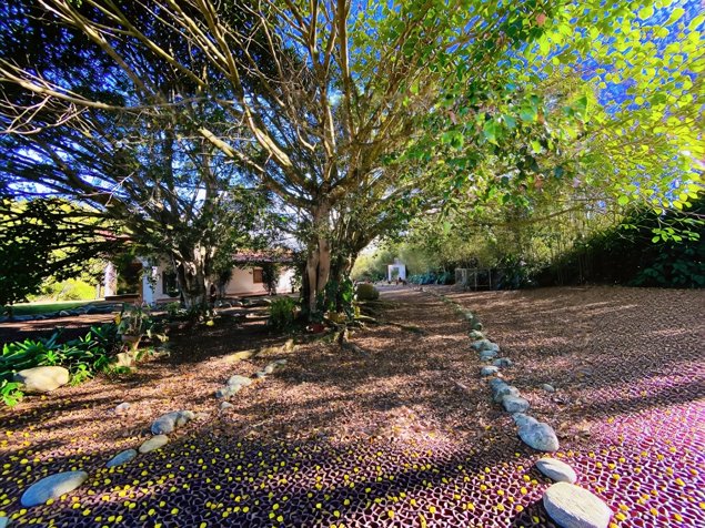 VENTA DE FINCA DE 31,95 HECTÁREAS EN OROSI, PARAÍSO, CARTAGO in Orosi, Paraíso, Cartago — $2,500,000 - Photo 3 of 19