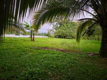 Land For Sale Puerto Viejo, Sarapiquí, Heredia