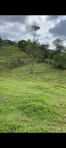 SE VENDE PRECIOSA Y ÚTIL FINCA EN SIQUIRRES.  in Pacuarito, Siquirres, Limón — $775,000