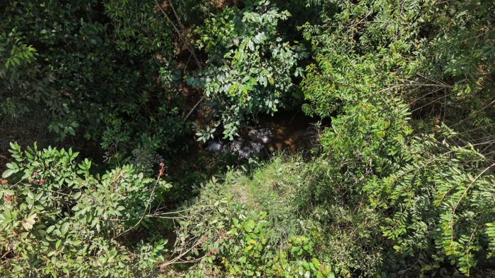 SE VENDE TERRENO LISTO PARA CONSTRUIR CON RIOS Y FINANCIAMIENTO EN SAN FRANCISCO DE CAJON en Cajón, Pérez Zeledón, San José — ₡ 60 000 000 - Foto 3 de 10