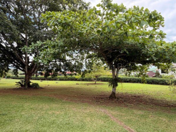 Finca con casa y rancho ideal para inversión en Florencia cerca de La Fortuna #26-1826 GS en Florencia, San Carlos, Alajuela — $150,000