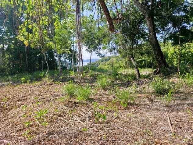 Terreno Bahia Gigante in Paquera, Puntarenas — $200,000 - Photo 3 of 7