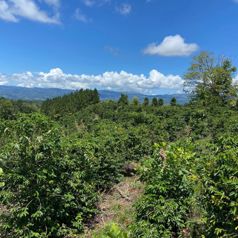 "Prime Real Estate  Opportunity in Santa Elena, Pérez Zeledón