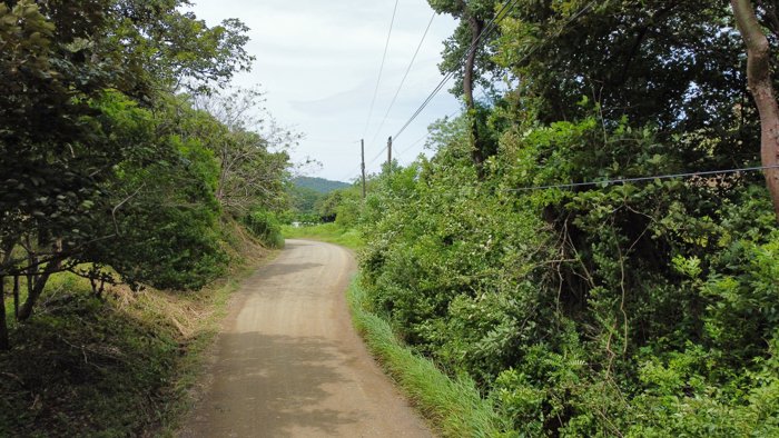 VENTA DE LOTE 10,000 m² CARRILLO, GUANACASTE en Belén, Carrillo, Guanacaste — $100,000 - Foto 2 de 6