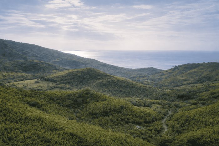 782 ha Finca - Camaronal, Santa Marta de Hojancha en Nosara, Nicoya, Guanacaste — $10,000,000