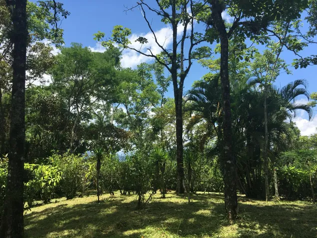 Venta de terreno en Guayabo de Mora. Viva en armonía con la naturaleza in Guayabo, Mora, San José — ₡ 85 000 000