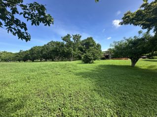 Venta Lote Residencial y Comercial, Esparza, PUntarenas  (FAU) en Espíritu Santo, Esparza, Puntarenas — 170 000 000 ₡ - Foto 5 de 6
