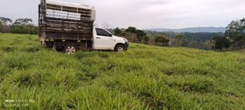 Farm For Sale Pittier, Coto Brus, Puntarenas