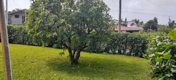 Casa en Venta Monte Verde, Puntarenas, Puntarenas