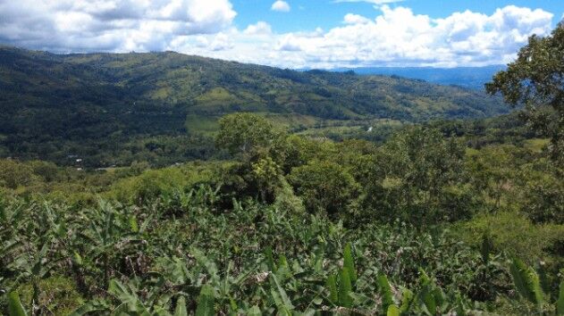 TERRENO EN VENTA EN LA FILA, RIVAS – FINCA DE CAFÉ Y BANANO CERCA DEL CHIRRIPÓ en Rivas, Pérez Zeledón, San José — $78,000
