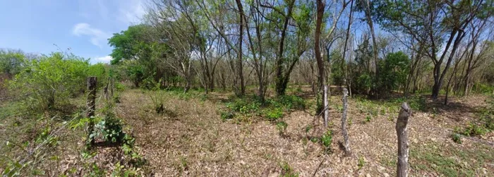 Lot in Playa Garza, Nosara Guanacaste in Nosara, Nicoya, Guanacaste — $450,000 - Photo 2 of 4