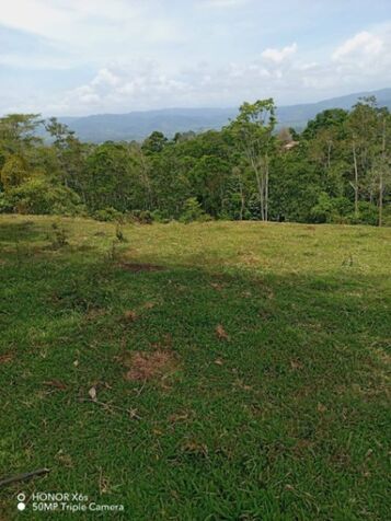 OPORTUNIDAD ÚNICA: IMPRESIONANTE FINCA EN VALLE LA ESTRELLA, LIMÓN, COSTA RICA. in Valle La Estrella, Limón — ₡ 129 000 000