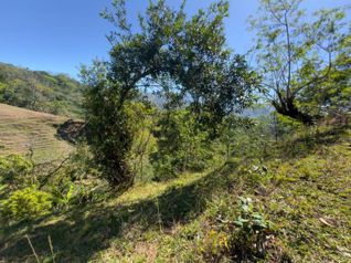 Venta de lote en Tabarcia de Mora in Tabarcia, Mora, San José — $192,000 - Photo 2 of 16