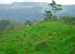 Venta de Extenso Terreno en Turrialba, Cartago / OFC en La Suiza, Turrialba, Cartago — $180,000 - Foto 4 de 8