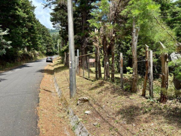 Venta hermosa propiedad San Juan Norte, Poás, Alajuela en San Juan, Poás, Alajuela — ₡ 80 000 000
