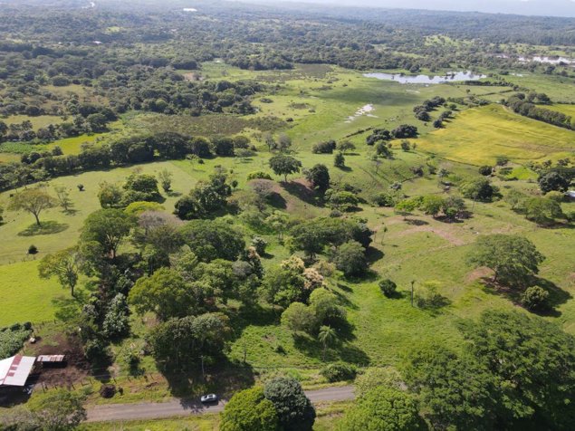 Venta de Finca en La Trinidad. La Ceiba. Orotina de Alajuela en La Ceiba, Orotina, Alajuela — ₡ 70 000 000 - Foto 2 de 35