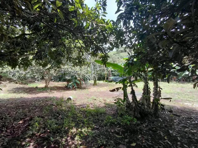 Lot for Sale in Getsemaní, Heredia. RAH 27-905 INVESTMENT OPPORTUNITY in Barva, Heredia — ₡ 265 000 000 - Photo 3 of 13