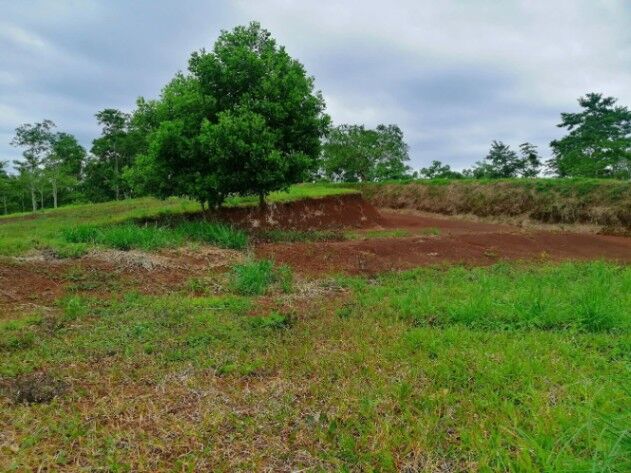 EXCELENTE UBICACIÓN Y PRECIO EN SAN CARLOS in Quesada, San Carlos, Alajuela — ₡ 11 500 000