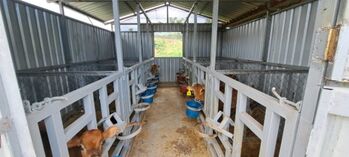 FINCA LECHERA A PUERTA CERRADA in Santa Teresita, Turrialba, Cartago — $1,500,000 - Photo 5 of 11