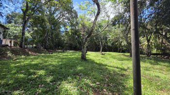 Lote con quebrada y bosque/2506m2/SAN MATEO in Labrador, San Mateo, Alajuela — 100 000 000 ₡ - Photo 4 of 56