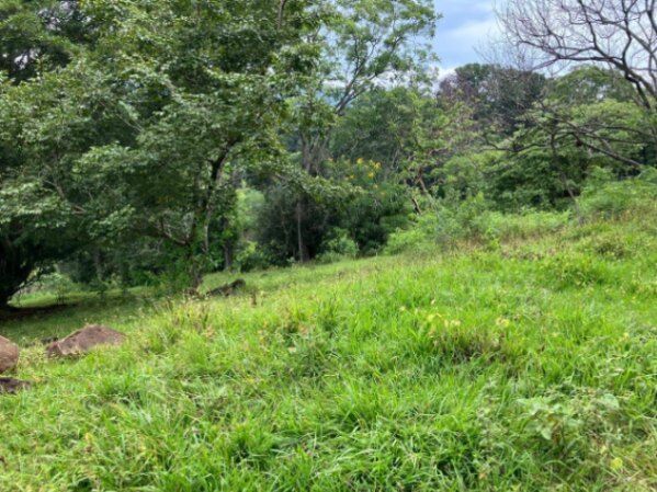 Atenas, Alajuela, Costa Rica, la plusvalía crece día a día: 3 hectáreas con frente a calle asfaltada en Atenas, Alajuela — $1,000,000