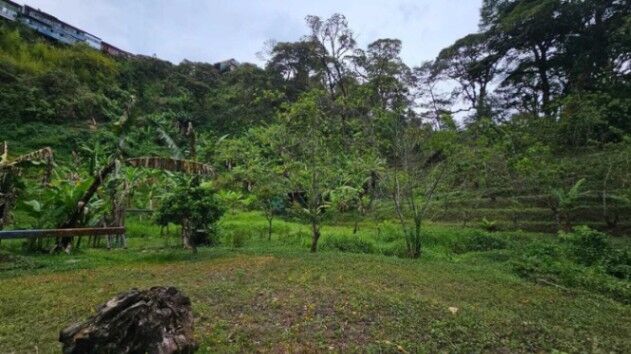 Venta de Fondo de Comercio en La Unión, Cartago. (OPORTUNIDAD UNICA PARA INVERSORES Y EMPRENDEDORES) en Dulce Nombre, La Unión, Cartago — $595,000