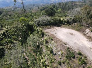 Lotes en venta en San Ramón, con vistas al Océano, clima fresco en Santiago, San Ramón, Alajuela — $70,000 - Foto 2 de 15