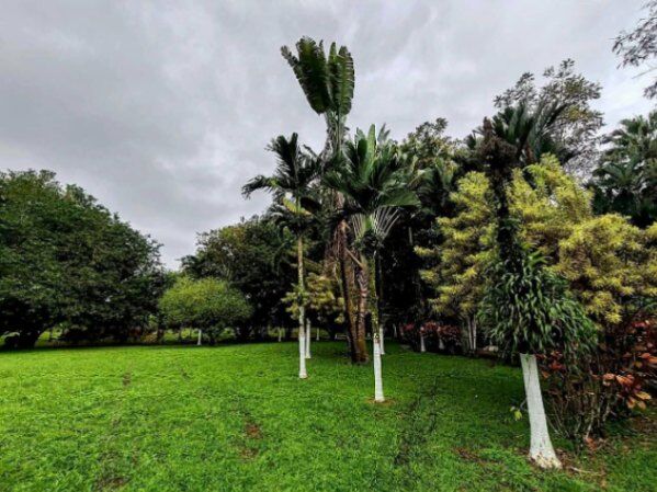 BELLÍSIMA QUINTA EN SAN RAMÓN, ALAJUELA.  en San Ramón, Alajuela — ₡ 78 000 000