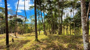 SE VENDE LOTE EN EXCLUSIVO PROYECTO CON HERMOSAS VISTAS A LA MONTAÑA in San Isidro De El General, Pérez Zeledón, San José — $44,000 - Photo 5 of 9