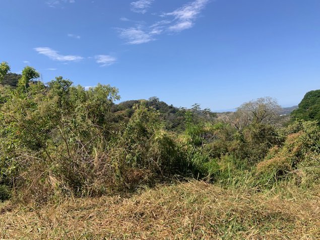 465,768m2 (116m2) con permisos para urbanizar en Atenas, Alajuela — $1,200,000 - Foto 2 de 9