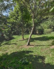 Hermoso Lote en Venta (Palmares) in Zaragoza, Palmares, Alajuela — 35 000 000 ₡ - Photo 5 of 5