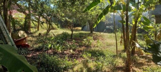 Venta de Lote en Orotina de Alajuela. RAH 26-1261 NEGOCIABLE in Orotina, Alajuela — ₡ 40 000 000