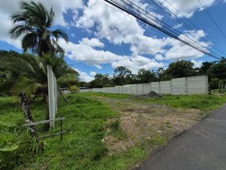 🌿 TERRENO EN VENTA EN LA COLONIA, POCOCÍ in Guápiles, Pococí, Limón — 23 000 000 ₡ - Photo 5 of 5
