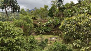 SE VENDE FINCA CON CASCADA PRIVADA Y ENTORNO NATURAL UNICO en Rivas, Pérez Zeledón, San José — $250,000 - Foto 5 de 19