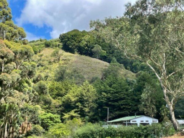 Venta de Finca con Hermosa Casa Campestre en Copey de Dota. RAH 26-74 PRECIO REBAJADO en Copey, Dota, San José — ₡ 125 000 000