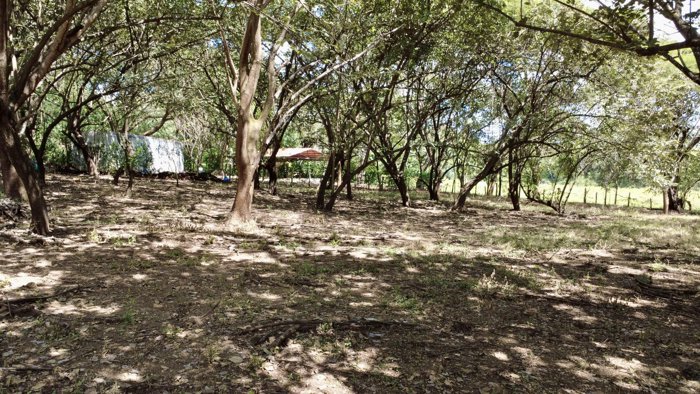 Quinta en venta Cartagena-Guanacaste en Cartagena, Santa Cruz, Guanacaste — ₡ 35 000 000 - Foto 2 de 3