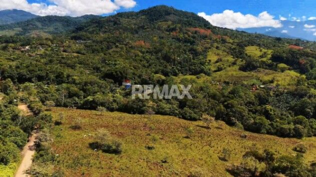 FINCA DE 28.7 HA PARA DESARROLLO Y AGRICULTURA EN MORAZÁN, PÉREZ ZELEDÓN CON NACIENTE PROPIA en Daniel Flores, Pérez Zeledón, San José — $750,000