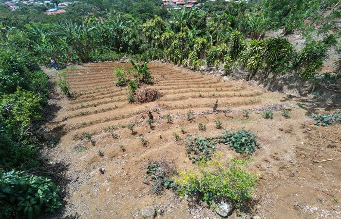 Lote en Venta en Zaragoza de Palmares in Zaragoza, Palmares, Alajuela — ₡ 28 750 000
