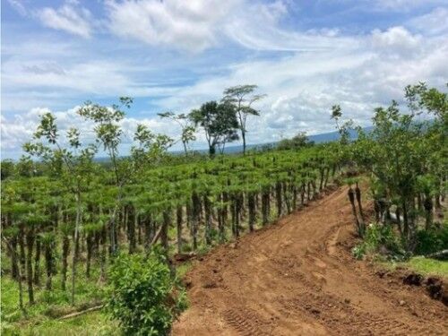 VENTA DE QUINTA EN ALAJUELA, GRECIA, RIO CUARTO   in Grecia, Alajuela — ₡ 75 000 000