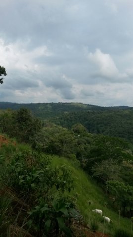 Finca de 100 Ha en Quepos en Quepos, Puntarenas — $8,500,000