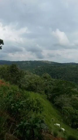 Finca de 100 Ha en Quepos in Quepos, Puntarenas — $8,500,000